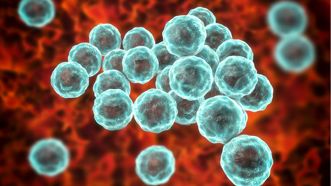 Illustration von Chlamydia trachomatis 