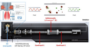 Grafik mit Übersicht über ein Triple-Quadrupol-System