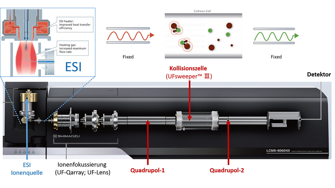 Spezialfunktionen aktueller Triple Quads Grafik mit Übersicht über ein Triple-Quadrupol-System