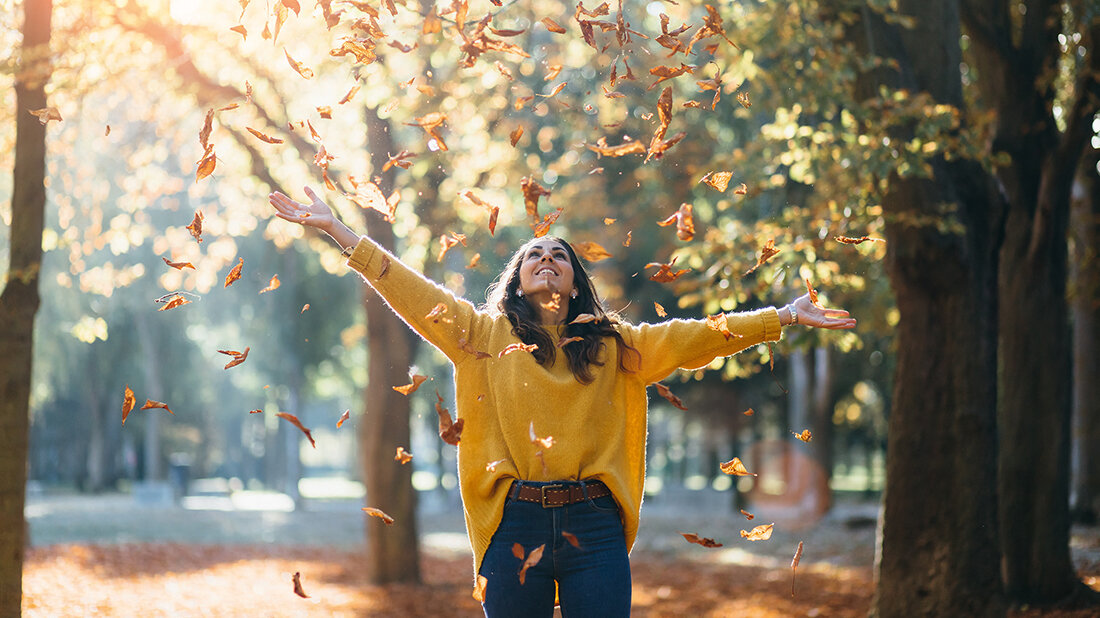 Der Herbst ist da – Weiterbildungen am DIW-MTA Titelbild zu Weiterbildungsangeboten des DIW-MTA