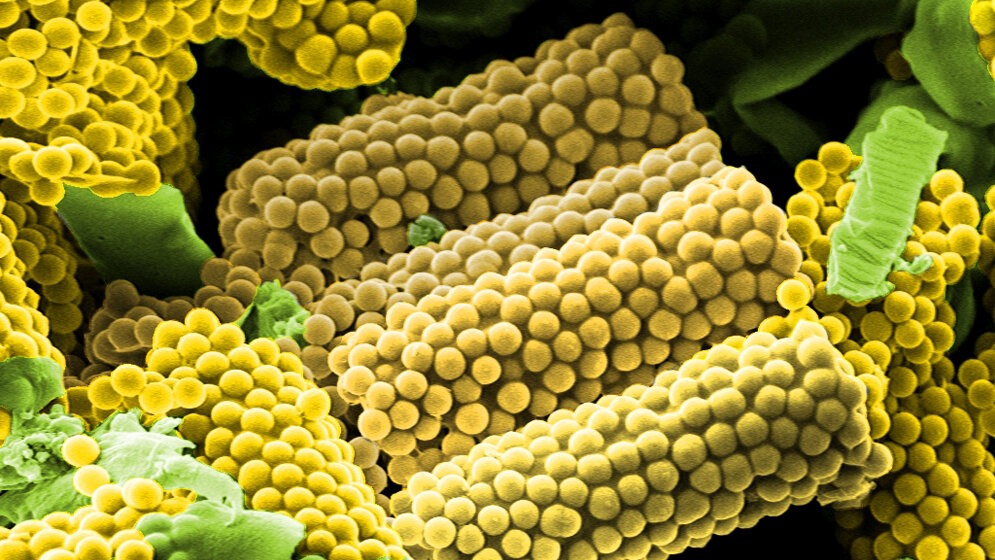 Zylinderförmige Wirkstoff-Transporter 