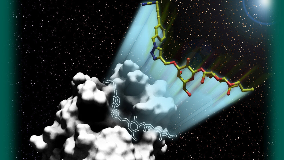 Komplexes_Zuckermolekuel_landet_passgenau_AK_Seibel_VCH_Wiley.jpg Komplexes Zuckermolekül und Tumorprotein Galectin-1