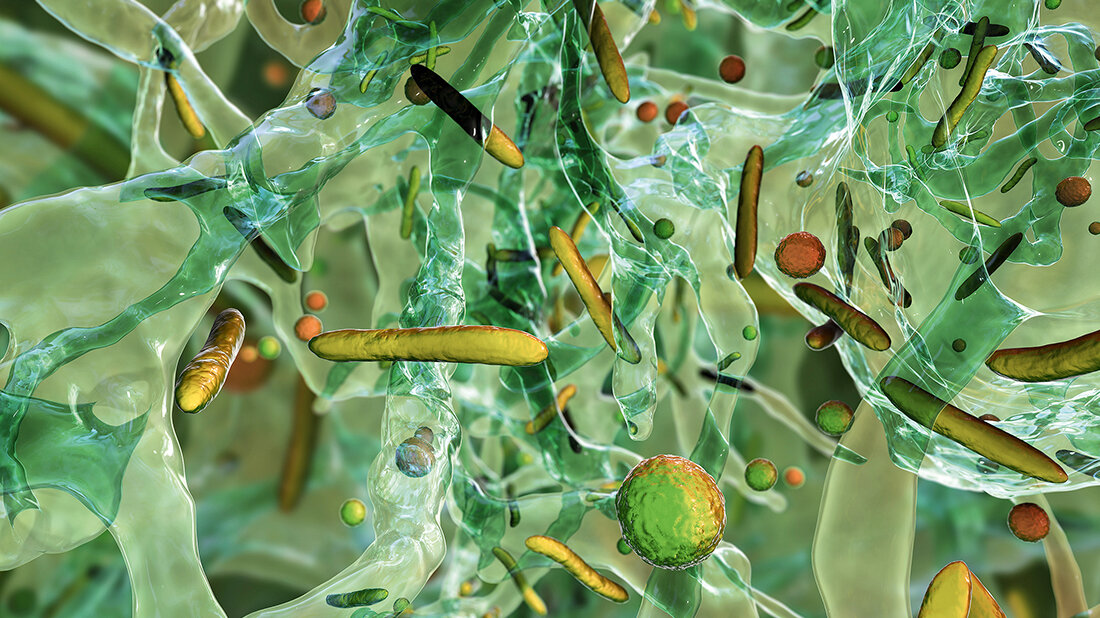 Titelbild zum Fachbeitrag über multiresistente Krankenhauserreger