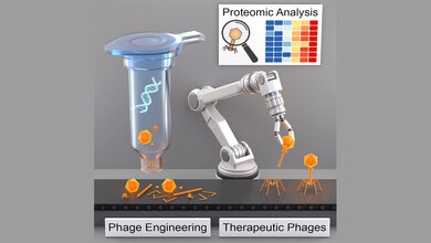 Graphical Abstract