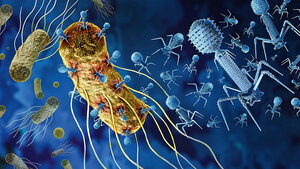 Abbildung von Phagen und Bakterien