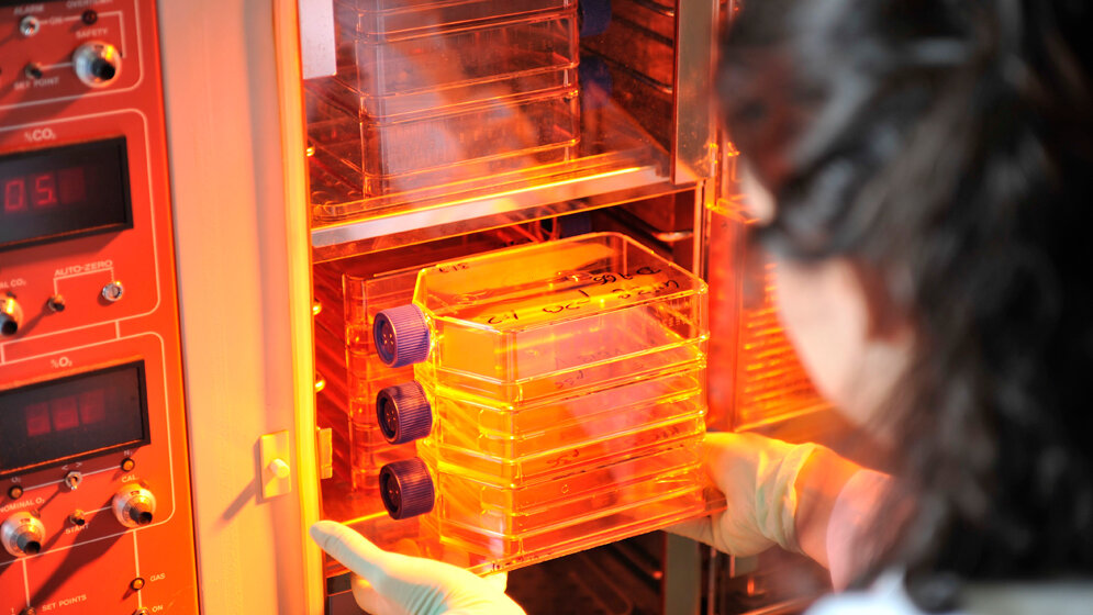 Bestandteile von HHV-6 identifiziert