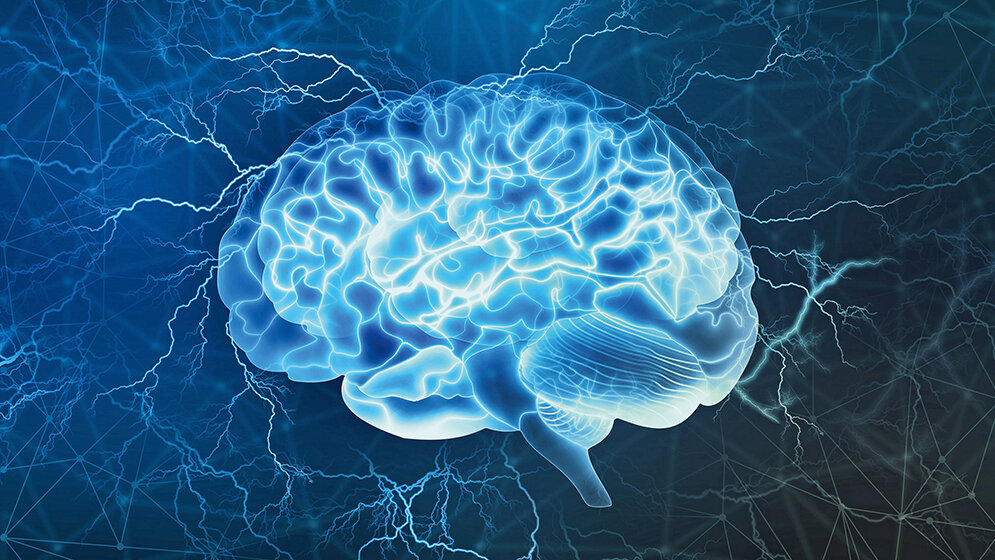 Funktionsdiagnostik Das Raum-Zeit-Kontinuum der Epileptogenese (Teil 1)