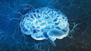Das Raum-Zeit-Kontinuum der Epileptogenese (Teil 1)