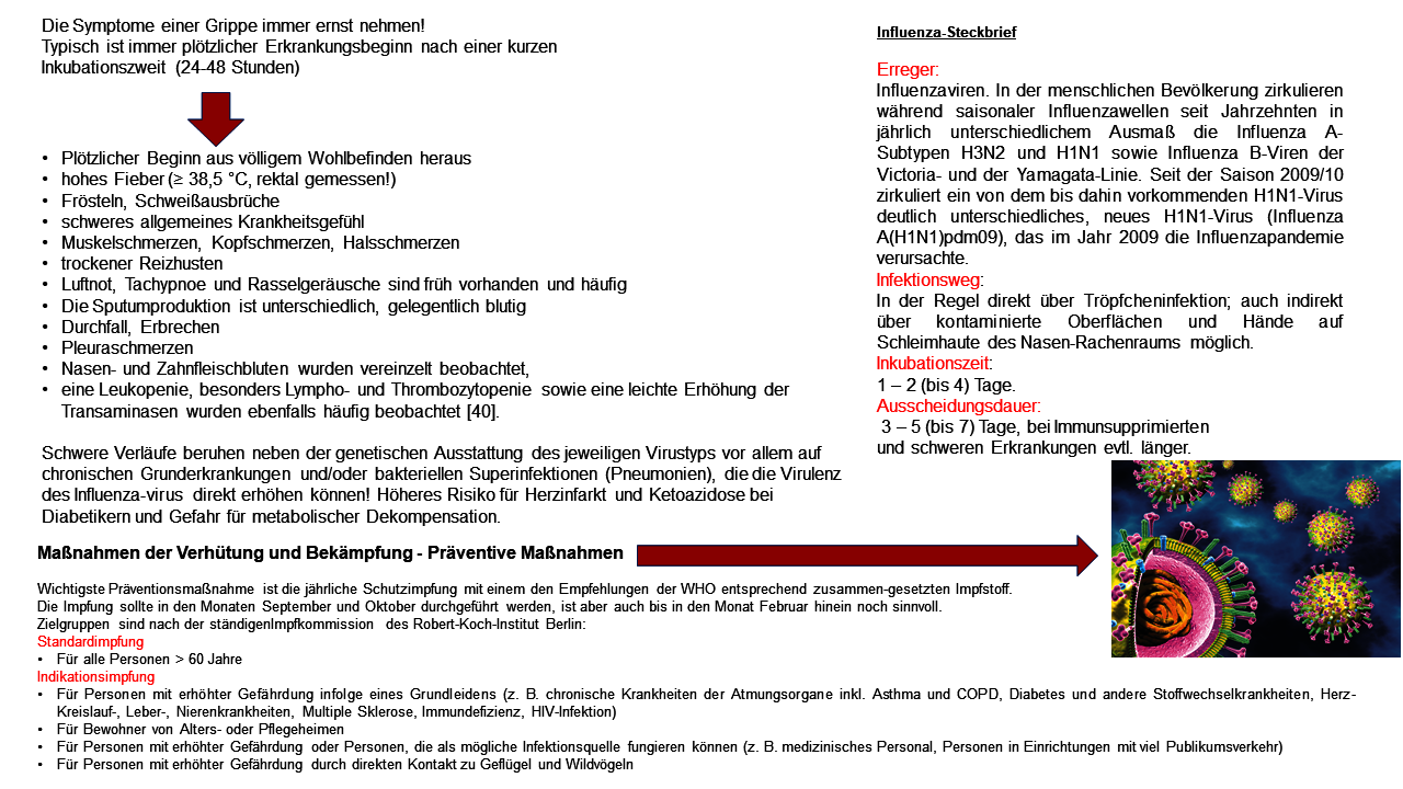 Steckbrief Influenza