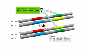 Cis/trans-Ambiguität