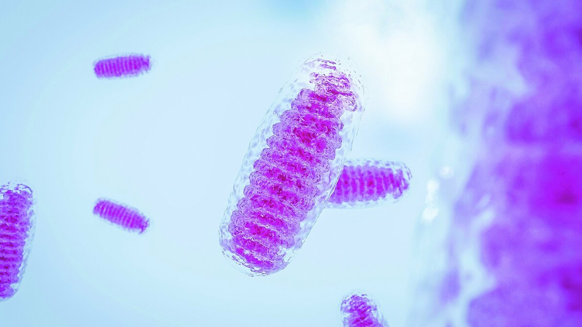 Kearns-Sayre syndrome