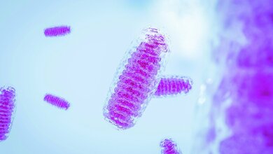 Kearns-Sayre syndrome