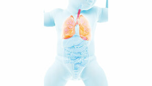 Schematische Darstellung des Thorax eines Kleinkindes mit Hervorhebung der Atemwege