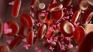 Darstellung von roten Blutkörperchen und Antikörpern in einem Blutgefäß, symbolisiert die Immunabwehr im menschlichen Körper.