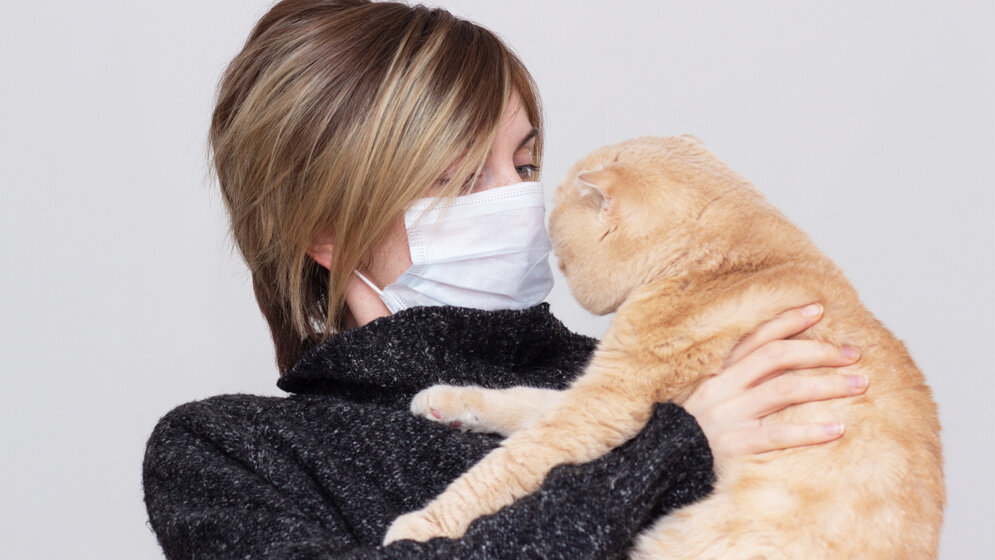 Katzen und SARS-CoV-2