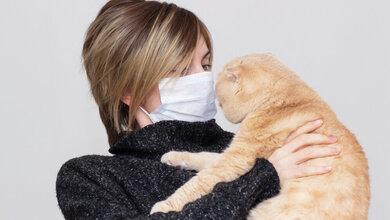 Katzen und SARS-CoV-2