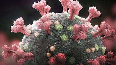 Neue Testzahlen des ALM e. V.