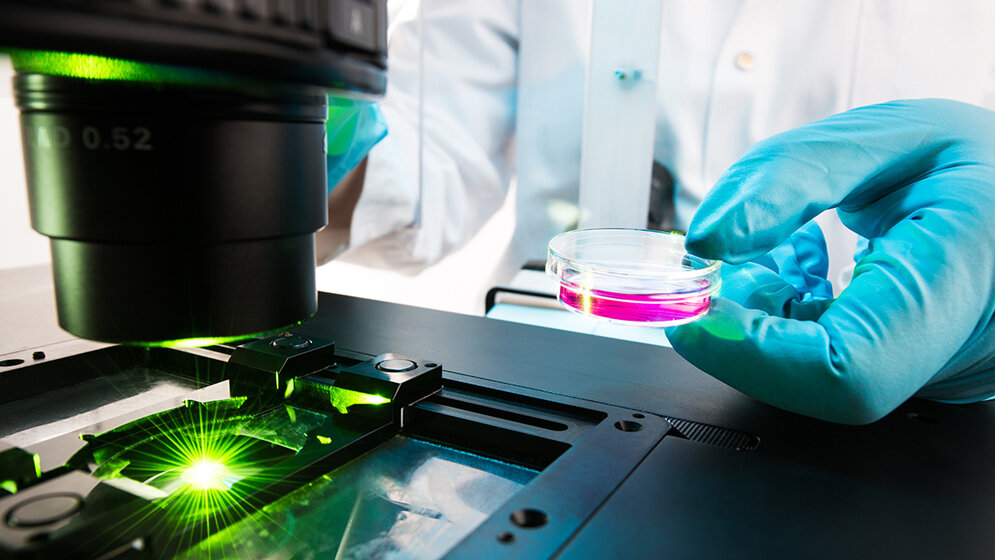 Analyse von DNA-Reparaturmechanismen