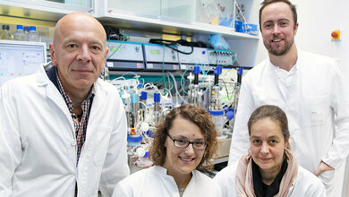 Dr. Robert Zweigerdt, Dr. Mania Ackermann, Dr. Antje Munder und PD Dr. Nico Lachmann