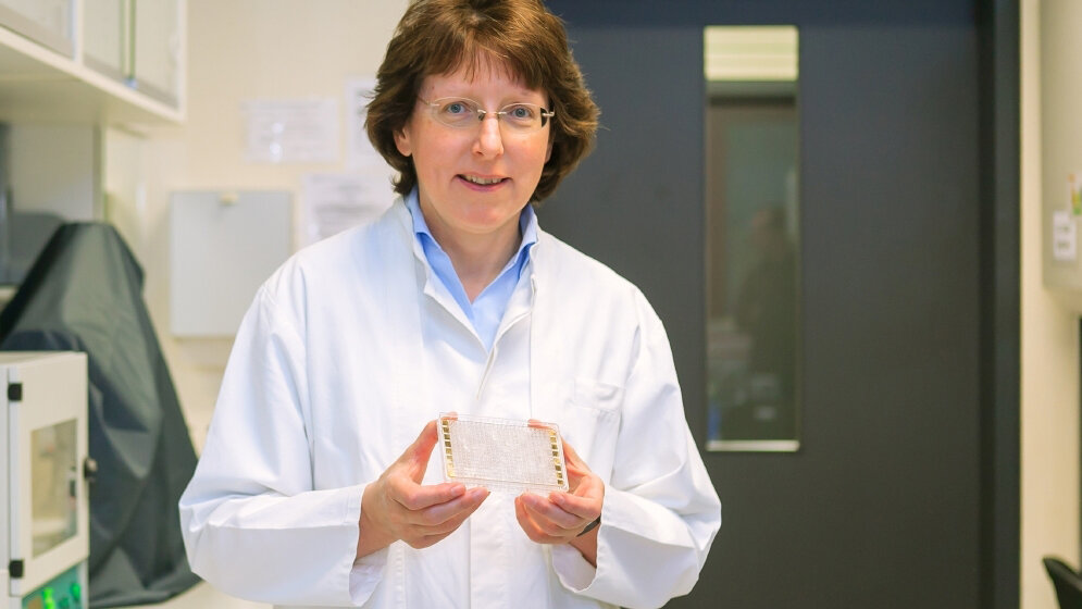 Prof. Dr. Andrea Robitzki