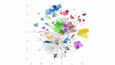 Molekulare Fingerabdrücke von fast 100.000 Hirntumorproben