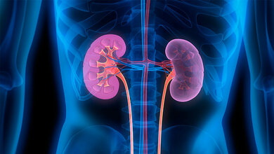 Ernährungstipps für gesunde Nieren