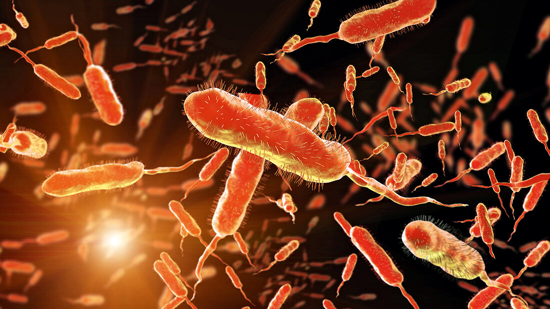 Titelbild zum Fachbeitrag über Erreger, Infektionswege und Pathophysiologie, Epidemiologie und Klinik der Cholera