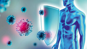 Titelbild des Fachbeitrags zu der Frage, ob die Alterung des Immunsystems ein natürliches Phänomen oder eine behandlungsbedürftige Erkrankung ist