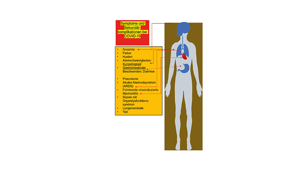 Sonstiges „Ich rieche nichts!“