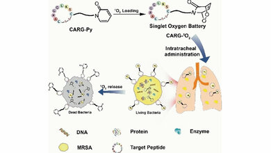 Neuer Ansatz gegen Krankenhauskeime