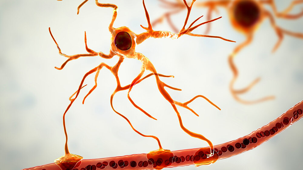 Die gespaltene Rolle der Astrozyten MTDialog