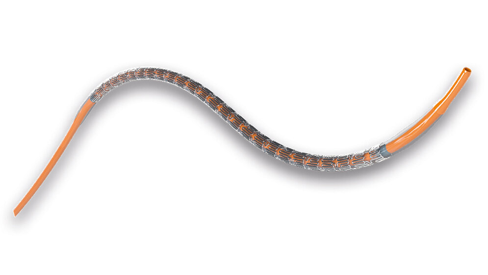 Aus der Industrie Abbotts XIENCE™-Stent