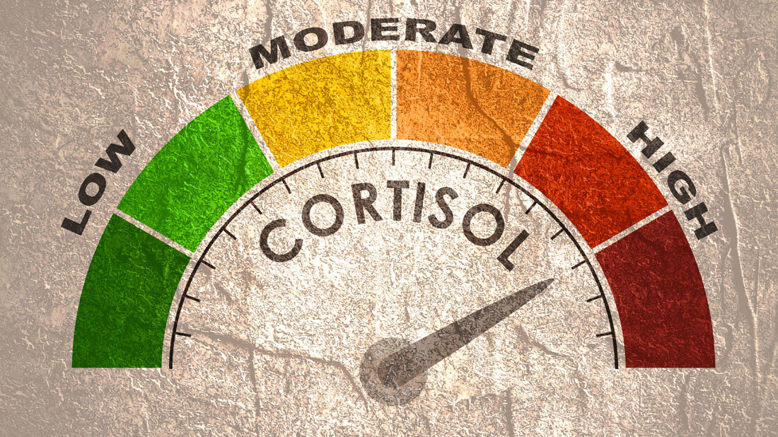 Cortisol.jpg Cortisol: Einteilung in Low, Moderate und High