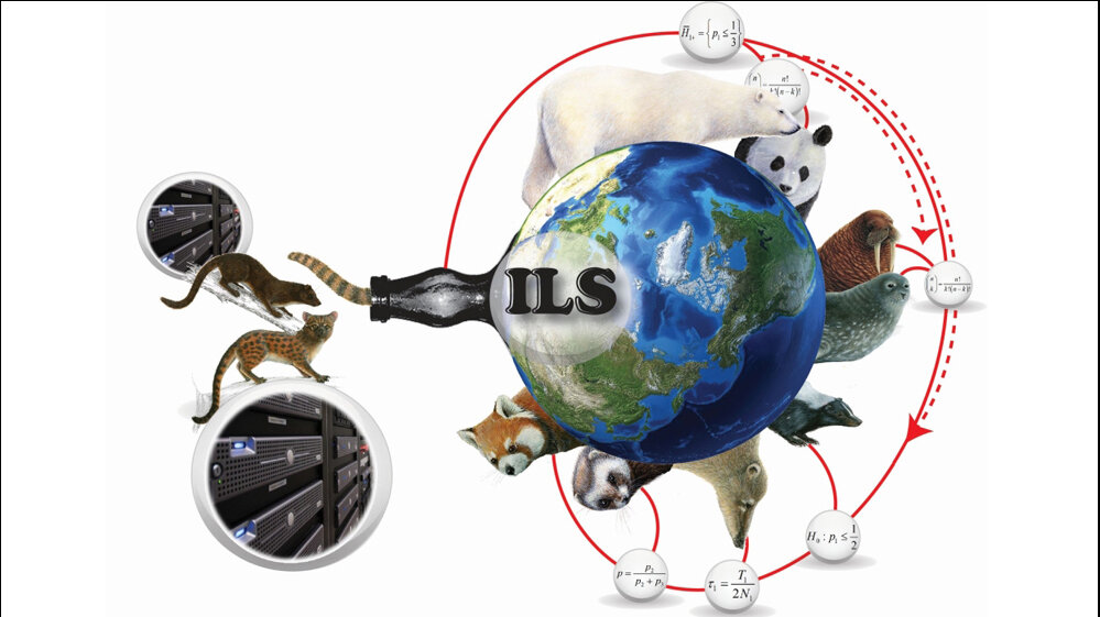Schematische Darstellung des Populationsengpasses