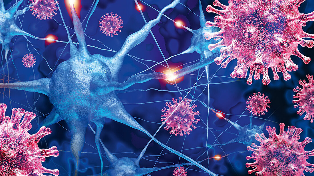Neuroinfections – what should we know? Titelbild des englischsprachigen Beitrags über Neuroinfektionen