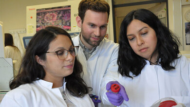 Luciana Berod, Philipp Stüve, Lis Velasquez 