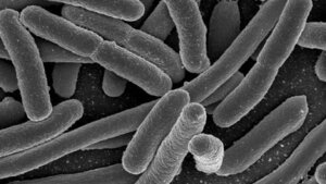 Antibiotika und Resistenzen 