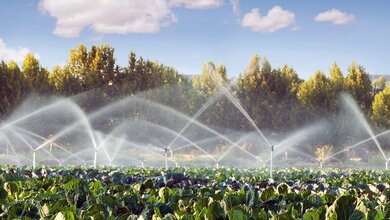 Aufbereitetes_Abwasser.jpg Drohen Krankheitserreger auf Obst und Gemüse?