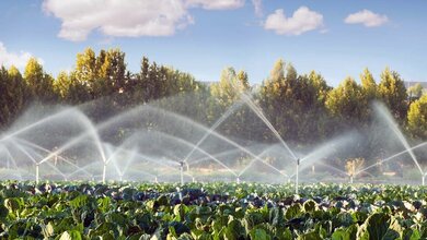 Drohen Krankheitserreger auf Obst und Gemüse?