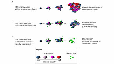 Schutzimpfung gegen veränderte Proteine?