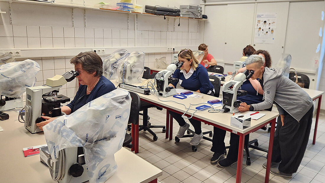 Foto vom Sommerfest der LV Bayern mit Personen die Hämatologiepräparate mikroskopieren