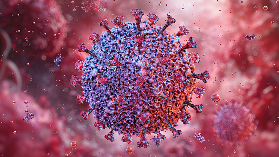 Eppstein-Barr-Virus