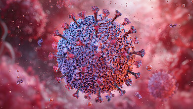 Eppstein-Barr-Virus