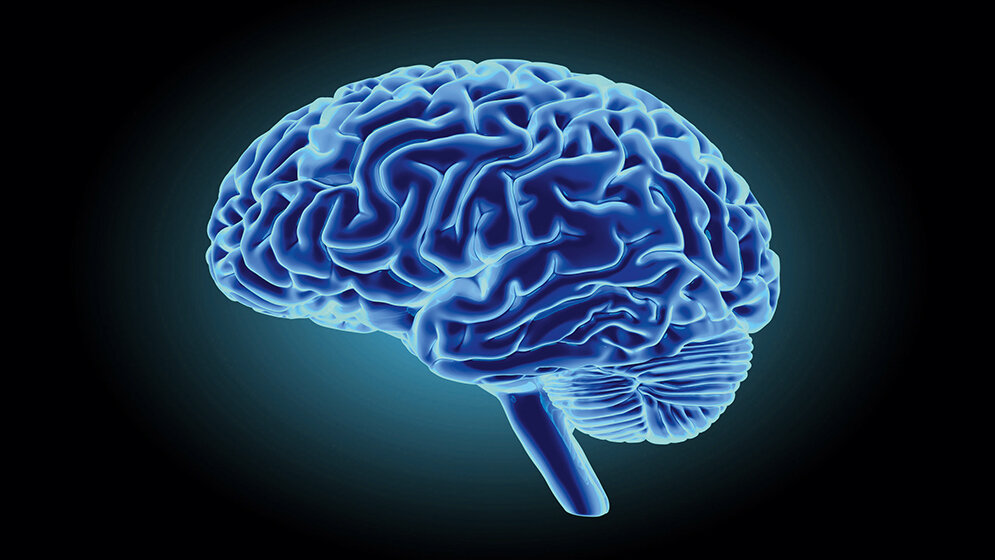 Hirntoddiagnostik – Verfahrensüberblick mit Fallbeispiel (EEG)