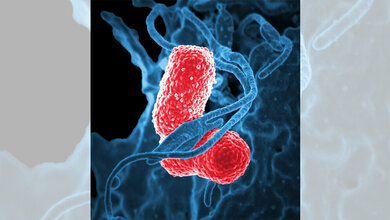 Klebsiella pneumoniae