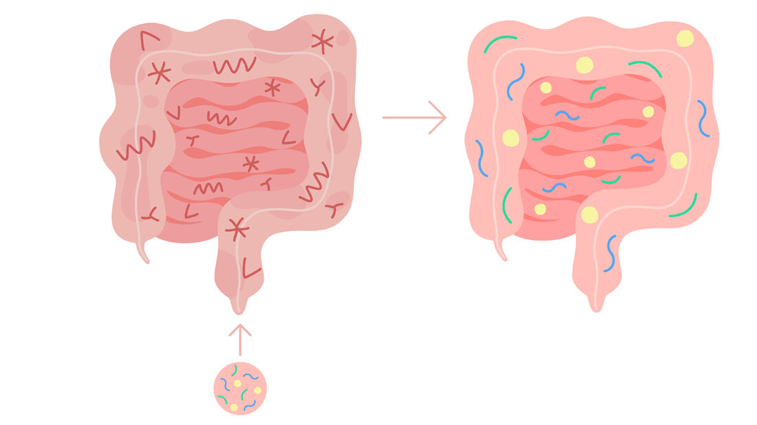 Stuhl.jpg Stuhl.jpg