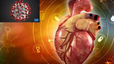 Corona_und_Herz.jpg COVID-19 und Herz