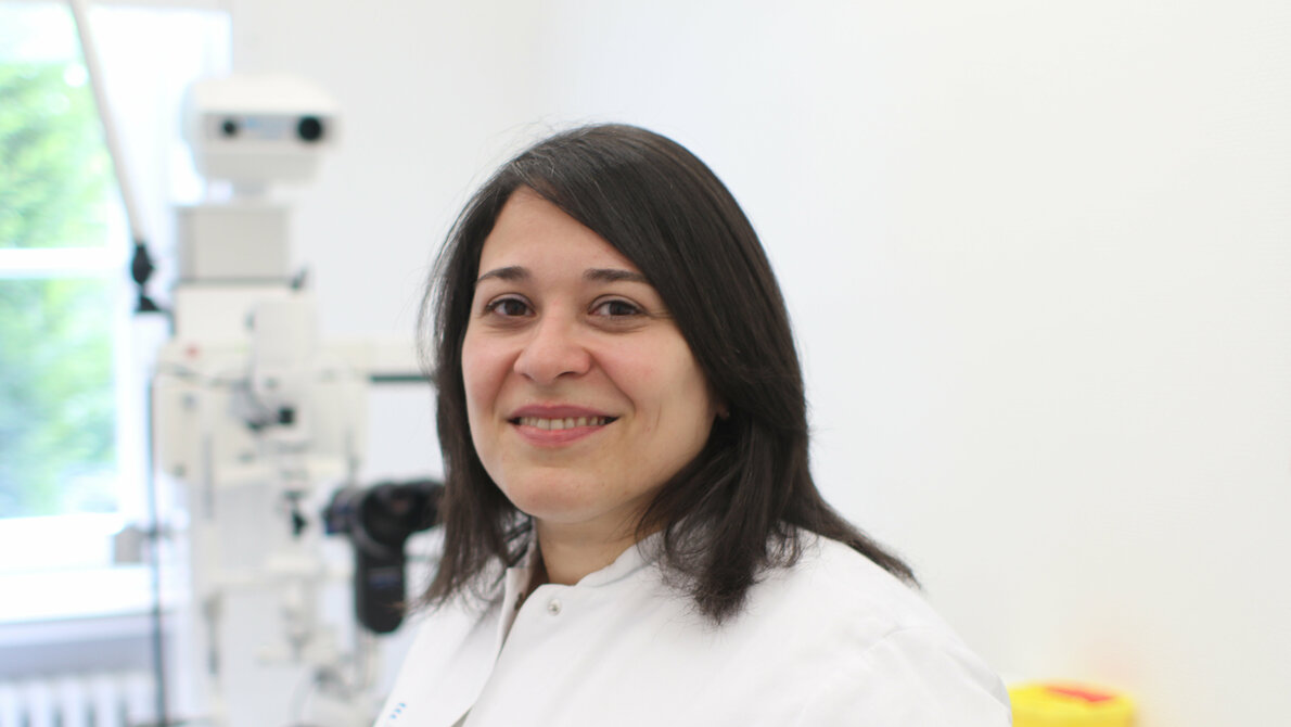 Eichenprozessionsspinner