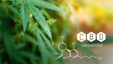 Cannabidiol