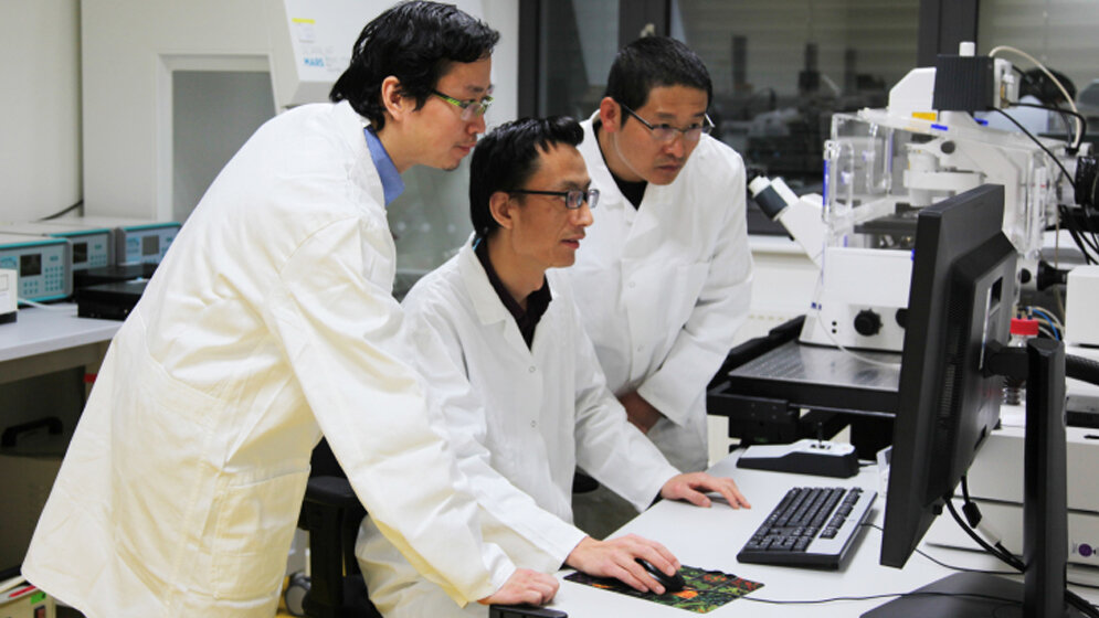 Die_Erstautoren_der_Studie_von_links_nach_rechts_Xun_Xu_Zijun_Deng_and_Weiwei_Wang_Foto_HZGFraeya_Whiffin.jpg Die Erstautoren der Studie